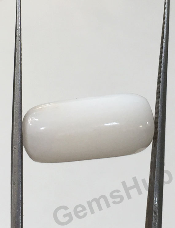 8.20 ct Natural Certified  White Coral/सफ़ेद मूंगा